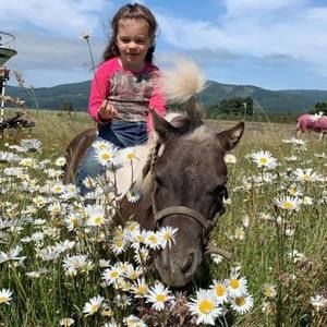 Meet your Posher, Katherine